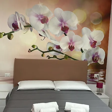 Alojamento de Acomodação e Pequeno-almoço Relais